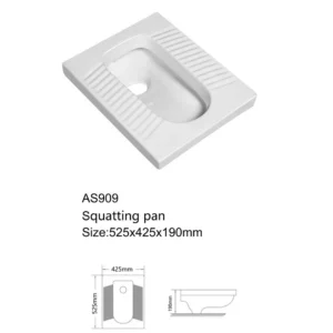 MILANO ASIAN WC 530X425X190 ( AS909)